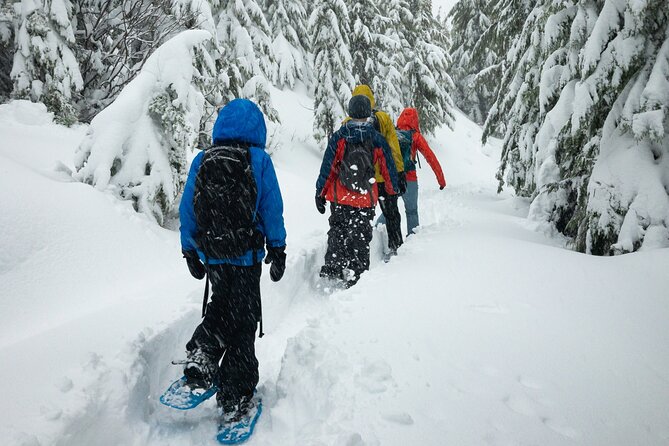 Snowshoeing tour with Wild Lunch - Leaving Rovaniemi for the forest