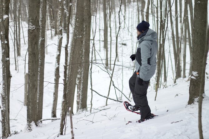 Snowshoeing tour with Wild Lunch - The teepee lunch by the fire