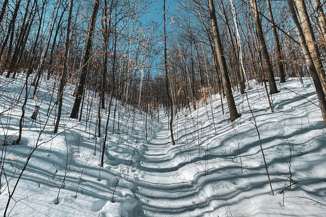 Snowshoeing tour with Wild Lunch - What the $95.53 price covers