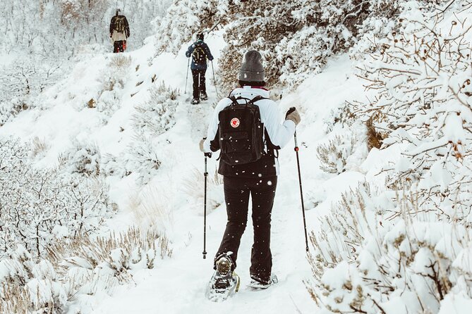 Snowshoeing tour with Wild Lunch - Timing, group size, and the winter light