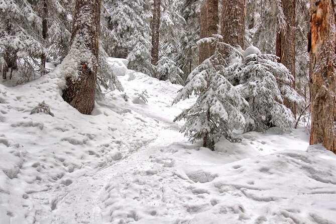 Snowshoeing tour with Wild Lunch - Clothing and comfort in real winter