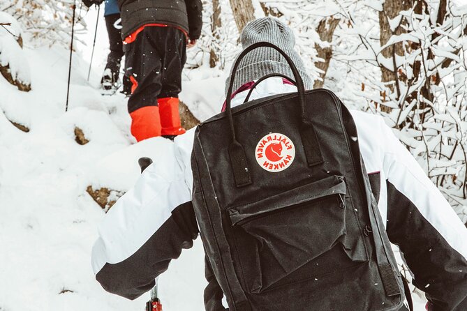 Snowshoeing tour with Wild Lunch - Weather and cancellation rules