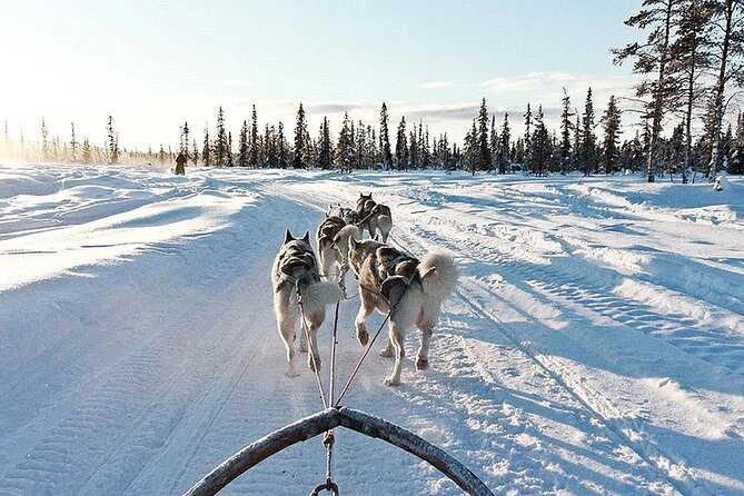 Snowy Trails 10km Husky Safari from Rovaniemi - Staying warm on a slow sled