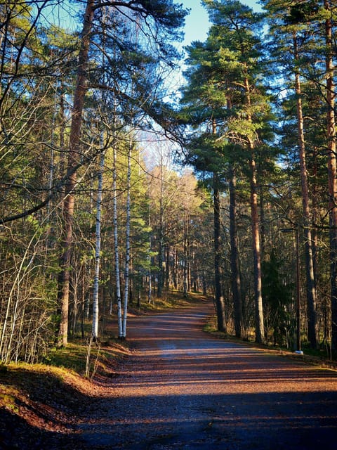 Tampere Panoramic Tour - Pace, fitness, weather, and practical planning