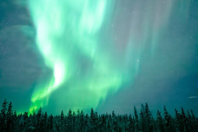 The Ultimate Guaranteed Aurora Hunt - Who will enjoy this most