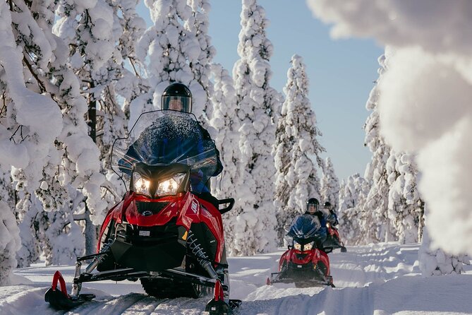 Thrill of Snowmobiling for Adults Only - Getting ready at the Wild Nordic Safari Center