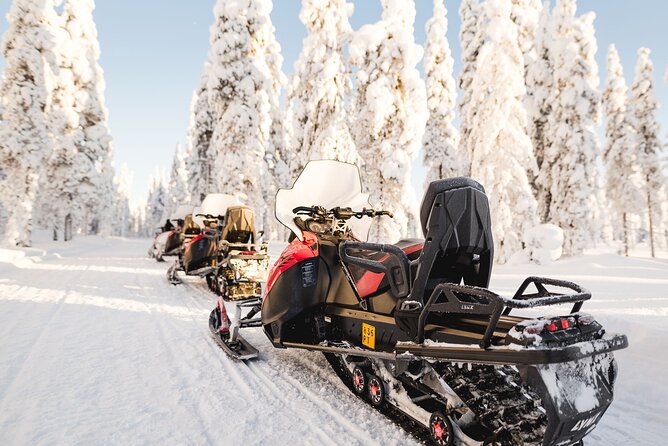 Thrill of Snowmobiling for Adults Only - What the $215.05 price really covers