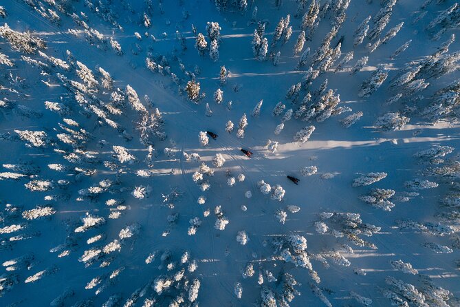 Thrill of Snowmobiling for Adults Only - Weather, cancellation, and sensible preparation