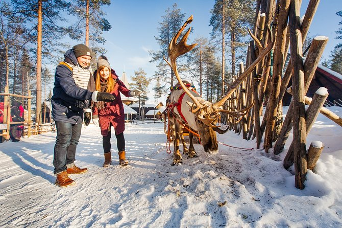 Trip to Arctic Circle, Santa Claus Village and Santas Reindeer - Guides can make or break the day