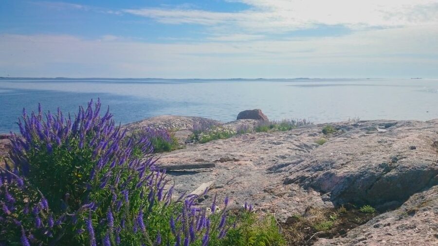 Turku Archipelago: Sea Kayaking Day Tour - Key points to know before you book