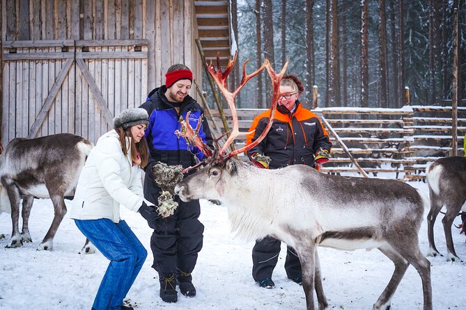 Two Full Days in Lapland - Who will get the most from the $902 price