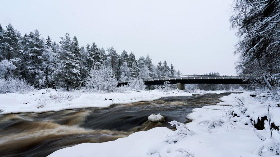 Vikakongas Hike: Nature and Silence - A quiet river walk outside Rovaniemi