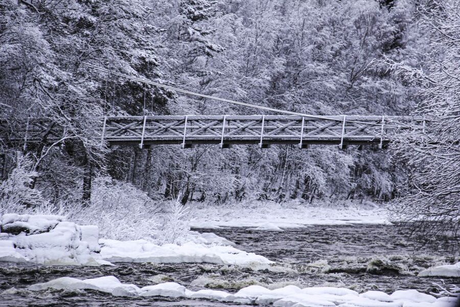 Vikakongas Hike: Nature and Silence - Booking details that matter
