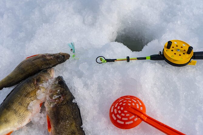 VIP Ice Fishing "ICEBREAKER" Lunch in Glass Igloo - What the private format is worth