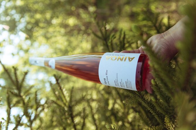 Visit to Authentic Finnish Berry Winery, Tasting Included - The drive from Helsinki to Lepaa