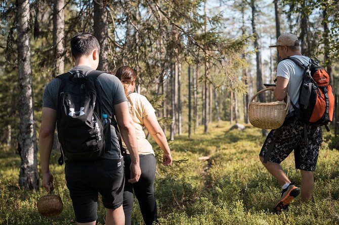 Wild Berries and Mushroom picking tour - Leaving Rovaniemi for the picking grounds