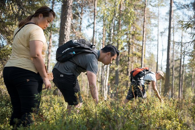 Wild Berries and Mushroom picking tour - A three-hour rhythm of walking, picking, and tasting