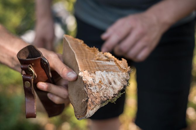 Wild Berries and Mushroom picking tour - The best dates are late July through early October