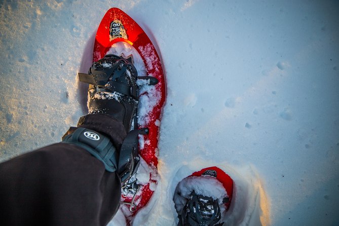 Wilderness snowshoe adventure - Getting comfortable in snowshoes