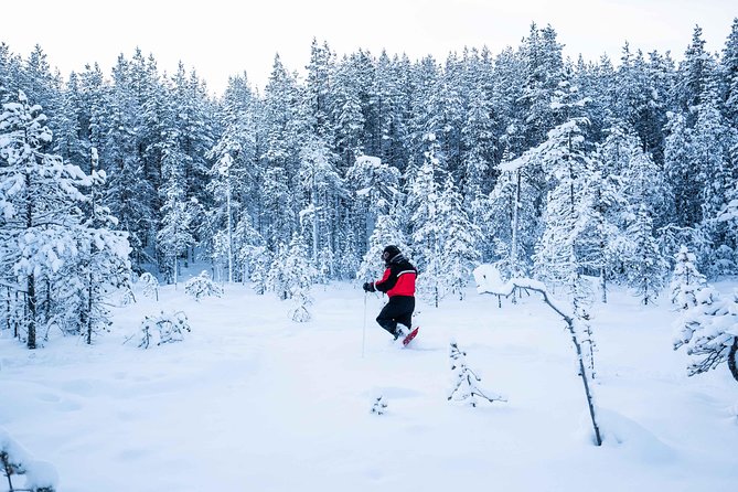 Wilderness snowshoe adventure - A warm break by the shelter and fire