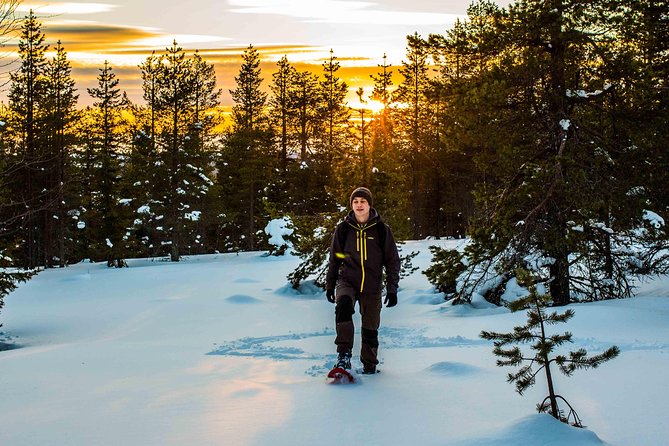 Wilderness snowshoe adventure - Timing, meeting details, and what to bring