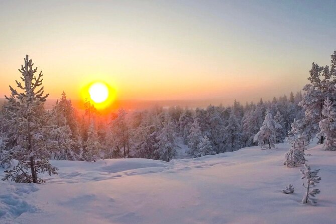 Wilderness Survival Tour - Winter - Finnish Campfire Snacks and Hot Drinks