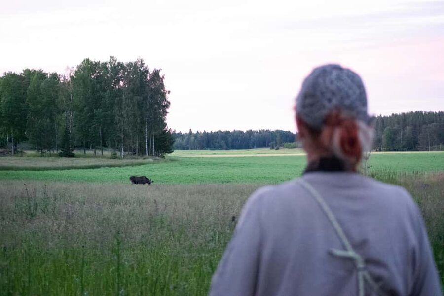 Wildlife safari with campfire dinner from Helsinki - Clothing and practical preparation