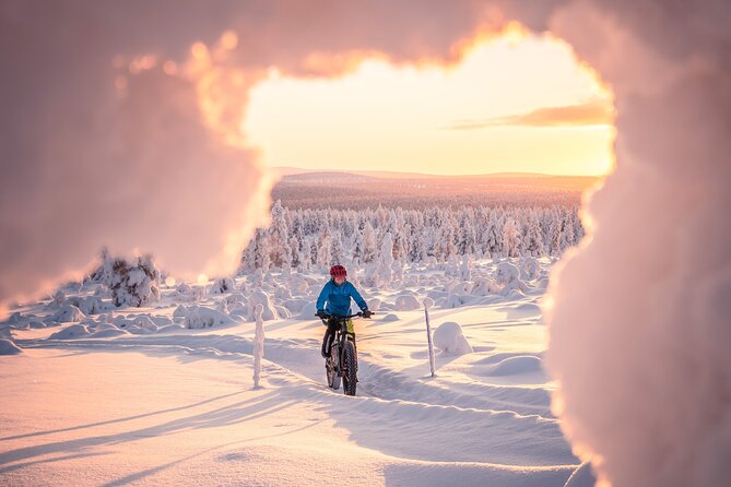 Winter afternoon group Ride in Saariselkä - Starting at Roll Outdoors Saariselkä