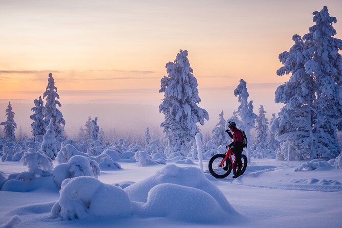 Winter afternoon group Ride in Saariselkä - Learning to ride on snow