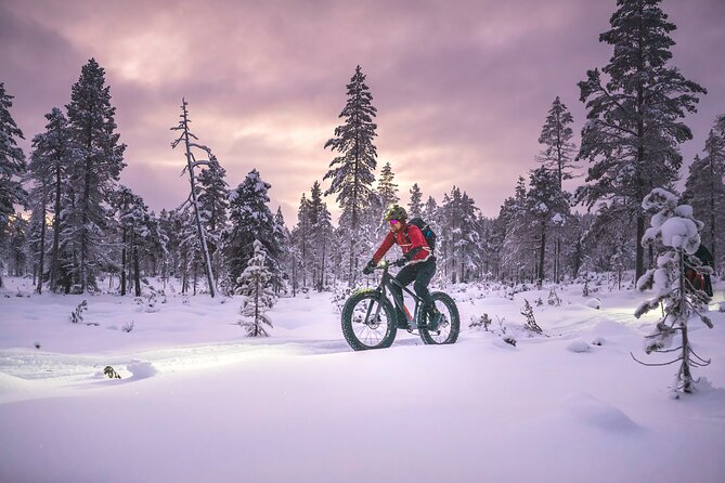 Winter afternoon group Ride in Saariselkä - The December and January darkness