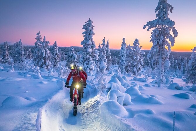 Winter afternoon group Ride in Saariselkä - Is $161 a fair price?