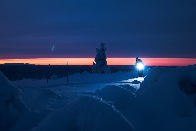 Winter afternoon group Ride in Saariselkä - Who should book this ride?