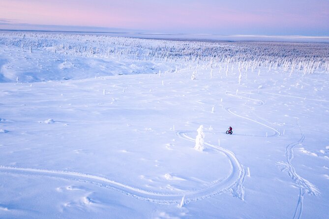 Winter afternoon group Ride in Saariselkä - From the village to Urho Kekkonen National Park