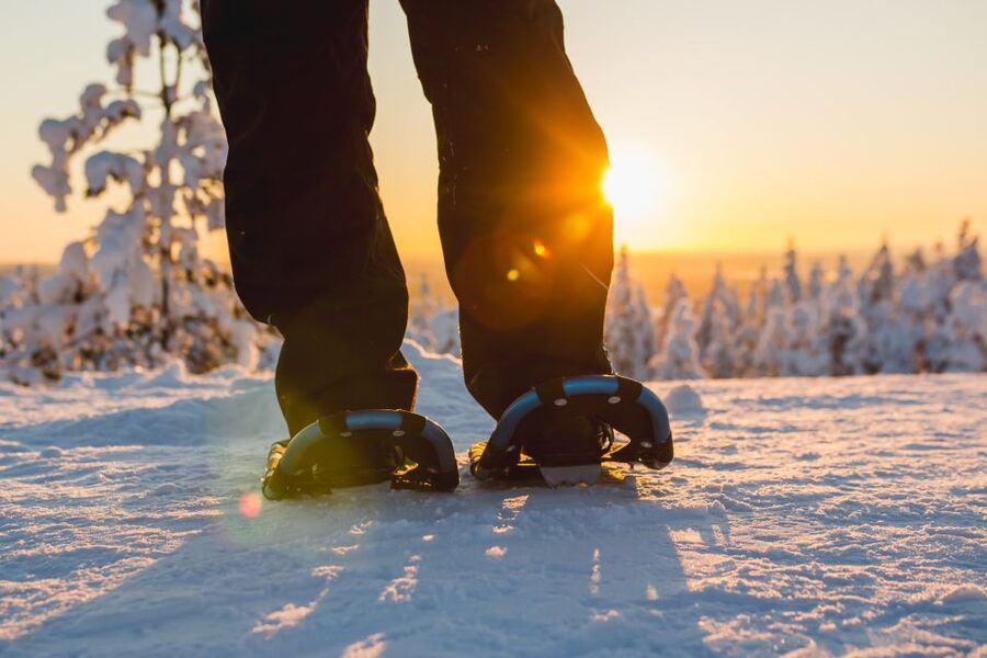 Ylläs: Forest Hike with Snowshoes - Key points at a glance